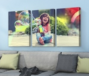 Split Canvas Prints 3 panel canvas