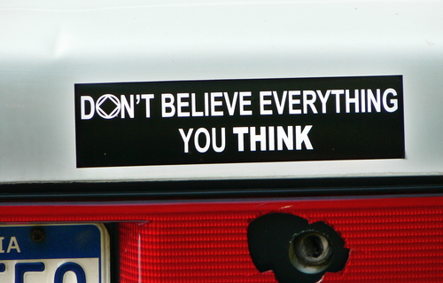die cut magnets don't believe everything you think