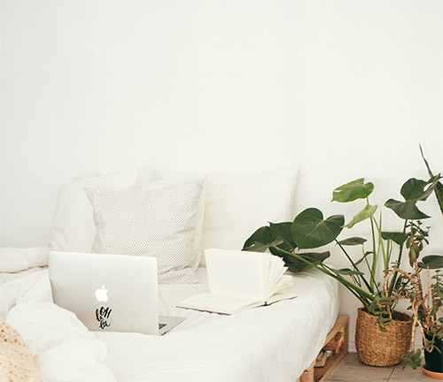 no bedroom wall art with plant