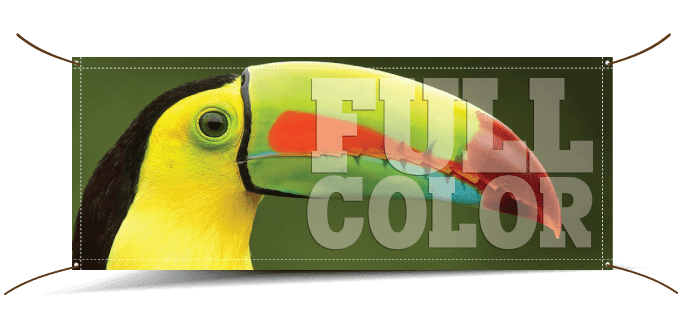 full color banners
